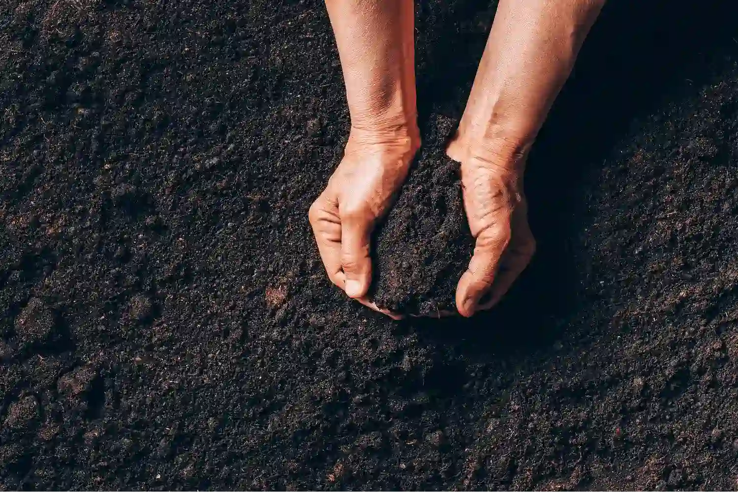 Two