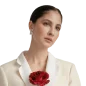client pict