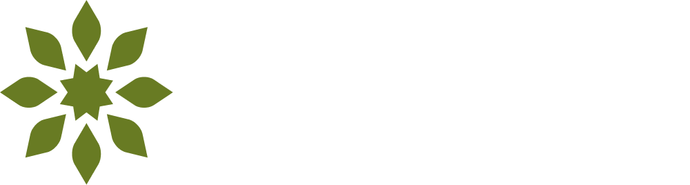 Holistiq - Alternative Medicine Full Site Editing (FSE) WordPress Theme