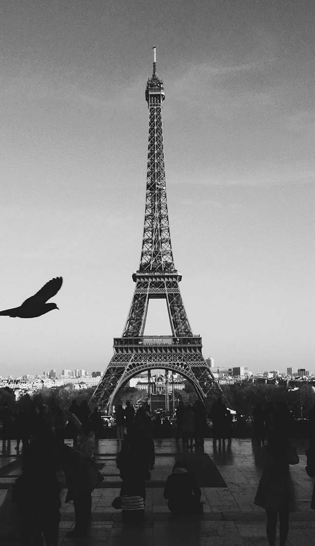 black and white architecture