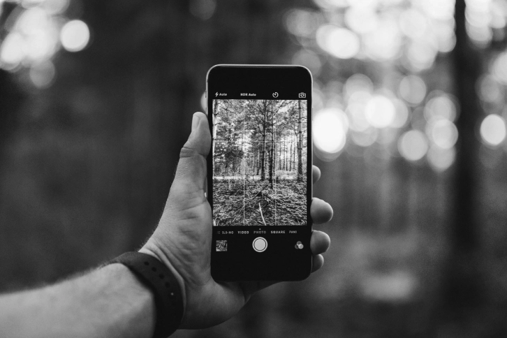 smartphone hand tree