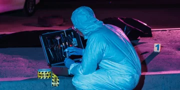 ai technique may aid violent crime forensics by analyzing corpse eating insects