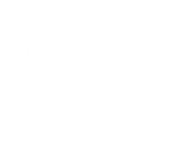 white logo icon